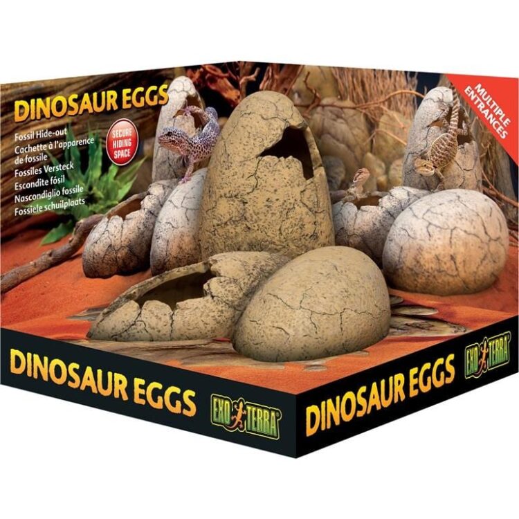 Grotte Dinosaur Egg Exoterra