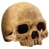 Grotte hodeskalle Exoterra 15x15x15cm, Dødninghode Grotte hodeskalle Exoterra 15x15x15cm, Dødninghode