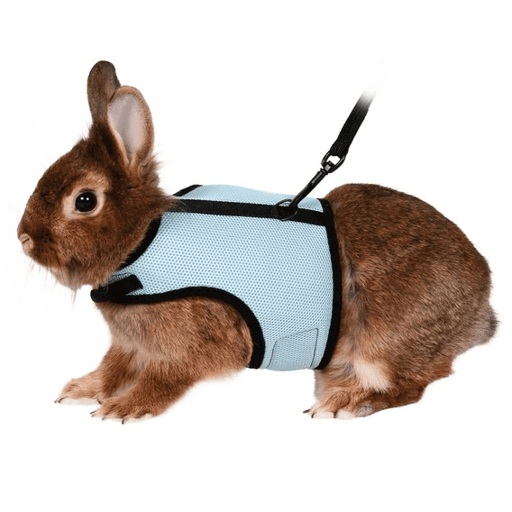 Marsvin-kanin-Smådyr-Kattesele soft med line