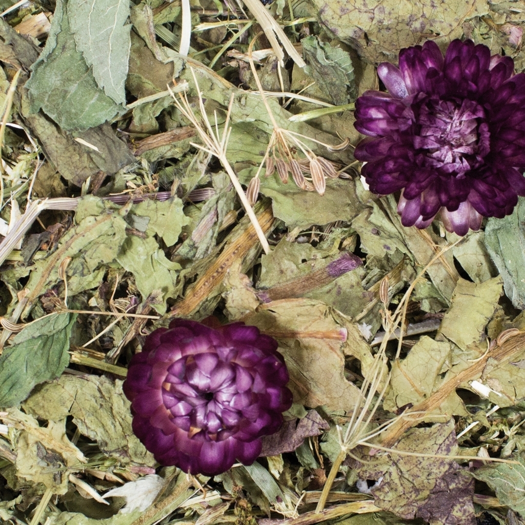 JR Farm grainless plus JR Farm grainless plus