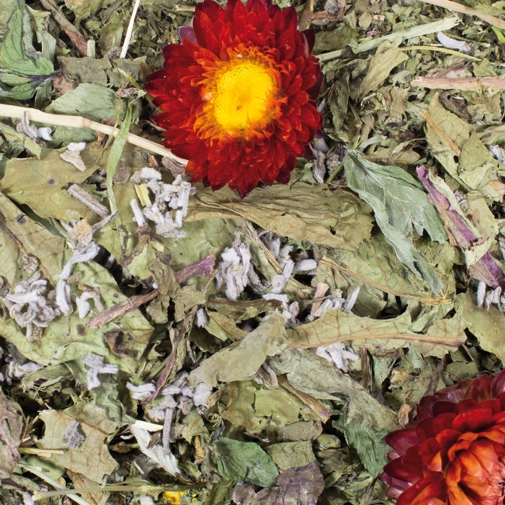 JR Farm grainless plus JR Farm grainless plus