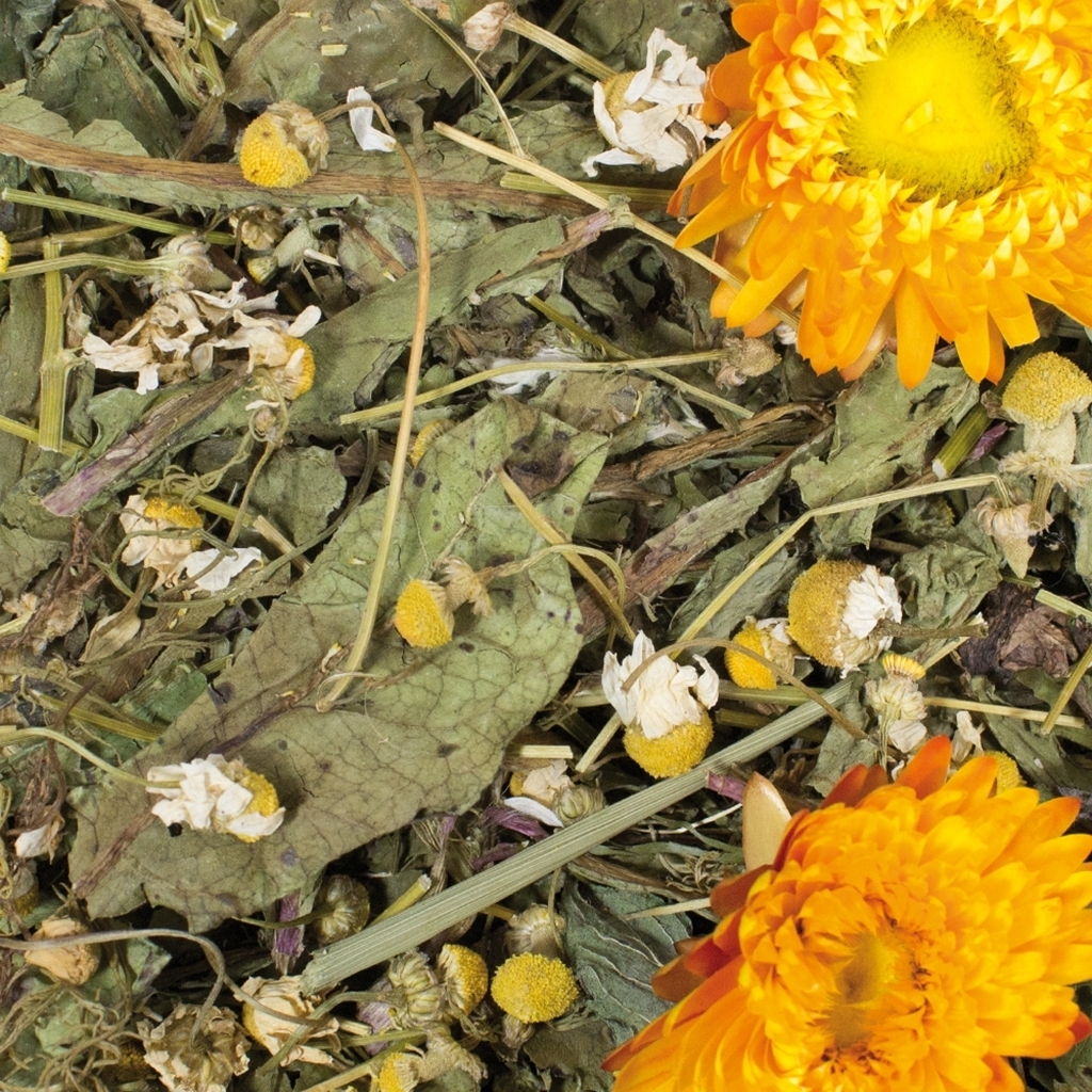 JR Farm grainless plus JR Farm grainless plus