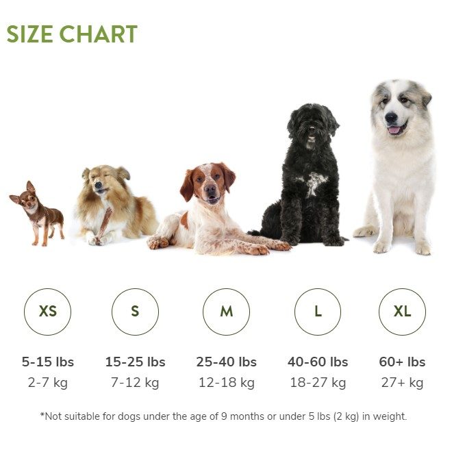 Whimzees Tannbørste i pose