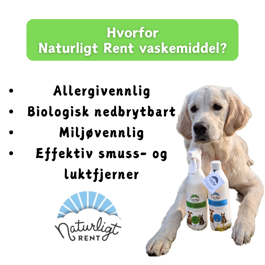 Naturligt Rent Biologisk Rengjøringsmiddel Naturligt Rent Biologisk Rengjøringsmiddel