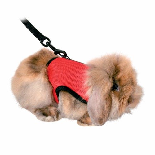 Marsvin-kanin-Smådyr-Kattesele soft med line